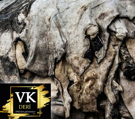 ham-deri-vk-kuzu-dana-01