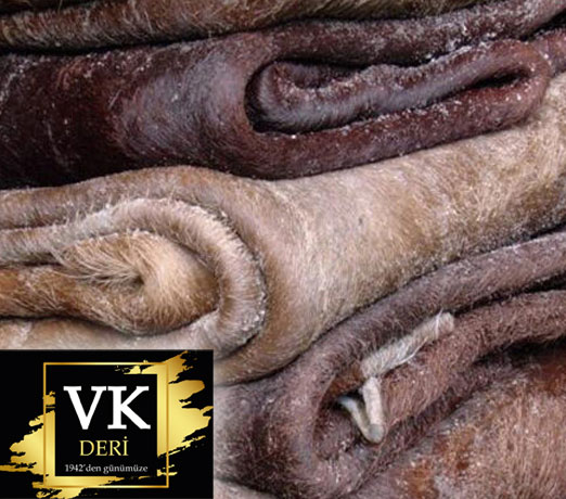 ham-deri-vk-kuzu-dana-02